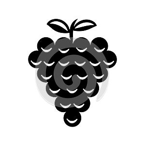 Grape fruits sign icon vector. Grapevine illustration symbol.