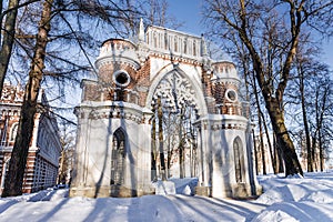 Grape gate in the Museum Tsaritsyno. Moscow, Russia