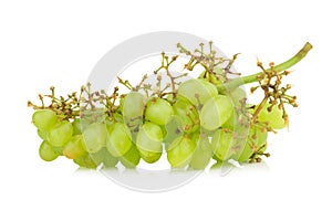 grape green isolated on white background