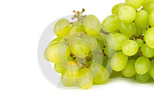 grape green isolated on white background