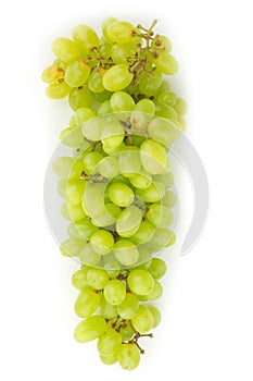 grape green isolated on white background