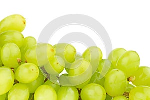 grape green isolated on white background