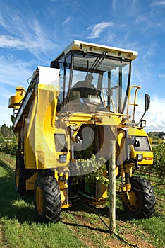 Grape Harvester