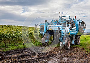 Grape Harvester V