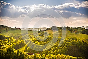 Grape hills view from wine road in Austria. South styria vineyards landscape. Sulztal