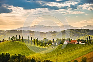 Grape hills view from wine road in Austria. South styria vineyards landscape. Sulztal