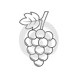 Grape Icon .Fruit Vector Sign and Symbol photo