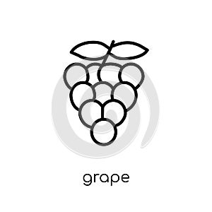 Grape icon from Fruit and vegetables collection.