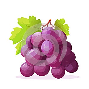 Grape icon isolated. Bunch of wine grapes with leaf. Grape image in flat design