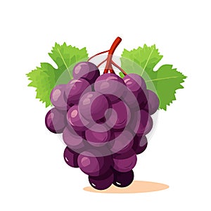 Grape icon isolated. Bunch of wine grapes with leaf. Grape image in flat design