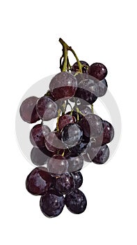 Grape isolated fresh red food background