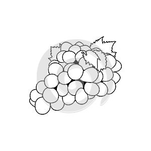 Grape isolated outline