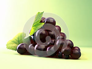 Grape isolated over green