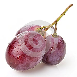Grape isolated on white background