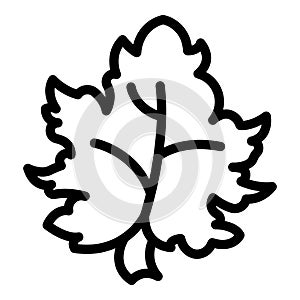 Grape leaf dolma ingredient icon outline vector. Traditional dolmades rolls