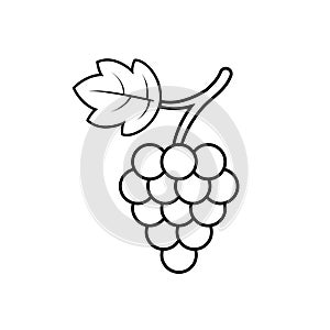 Grape with leaf icon outline vector. Wine logo. Graphic wine dessert symbol. Black grapevine icon on isolated background. Bunch of