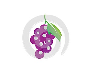 Grape with leaf icon vector