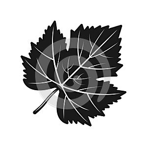 Grape leaf vector black silhouette object