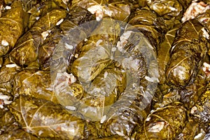 Grape leaves. Dolmades, greek.