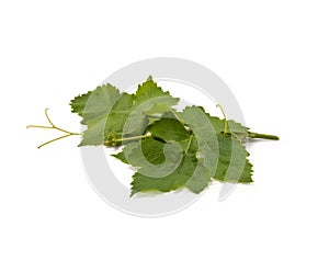 Grape Leaves, Isolated on White Background â€“ Bunch of Green Vine Leaves in Group