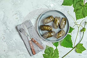 Grape leaves stuffed with meat and rice photo