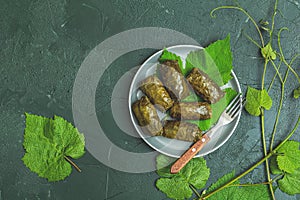Grape leaves stuffed with meat and rice
