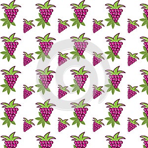 Grape and Leaves Vector Background