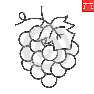 Grape line icon