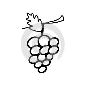 Grape line icon isolated on a white background