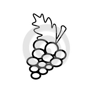 Grape line icon on a white background