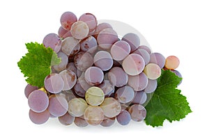 Grape `Lydia` closeup