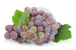 Grape `Lydia` closeup