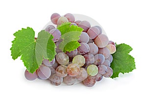 Grape `Lydia` closeup
