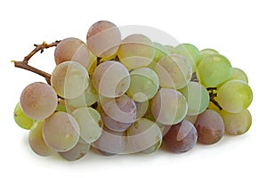 Grape `Lydia` closeup