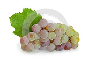 Grape `Lydia` closeup berry