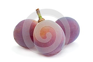 Grape `Lydia` closeup berry