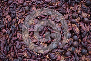 Grape Marc or Pomace Background. Solid Remains.