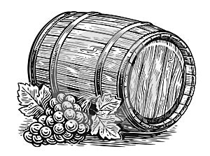 Grape and old wooden barrel. Oak cask. Hand drawn sketch vintage illustration