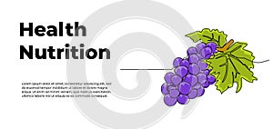 Grape one continuous line design. Fruits symbol design concept