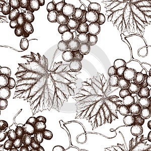 Vector seamless pattern with hand drawn grapes. Hand drawn illustration. Engraved fruit background. Vintage design.