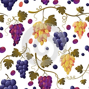 Grape pattern. Seamless print of bunch of green grapes, vintage texture of wine vine fruit, natural food background. Vector