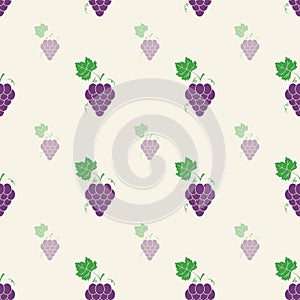 Grape pattern, Vine seamless background. Vector illustration