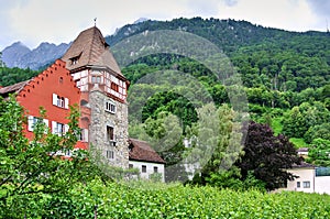 Grape plantations, green plants, a red building with a tower