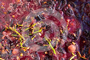 grape pomace after crushing and pressing for making wine. Red pulp grapes