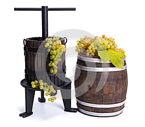 Grape pressing utensil and barrel with white grapes