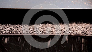 Grape processing on the machine. Crushing, grinding, sorting and transportation lines on dump.