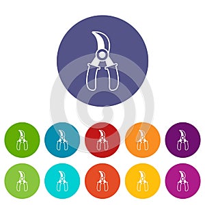 Grape scissors icons set vector color