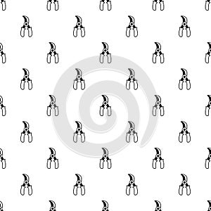 Grape scissors pattern vector seamless