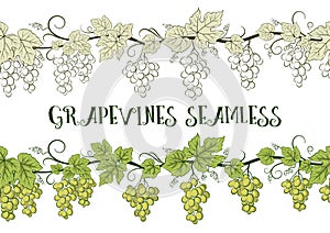 Grape, Seamless Ornament