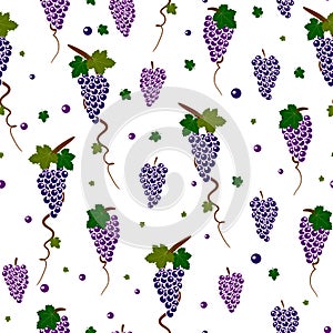 Grape seamless pattern photo